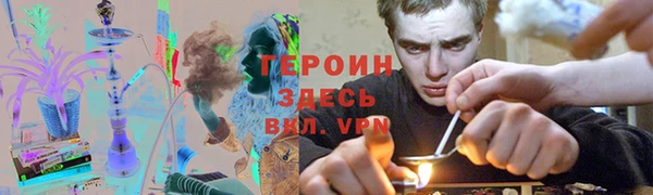 прущие грибы Алзамай