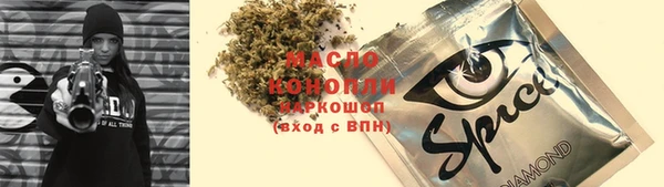 индика Гусь-Хрустальный