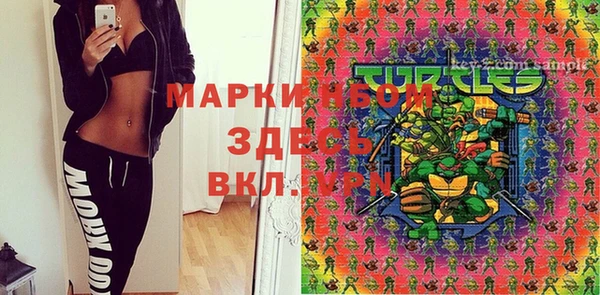прущие грибы Алзамай