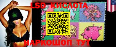 шишки Канаш