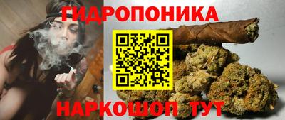 шишки Канаш