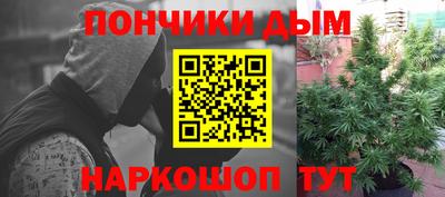 шишки Канаш